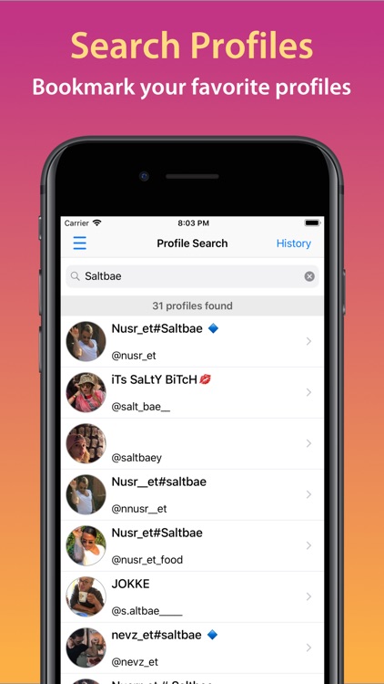 Story Plus+ Insta Media Viewer