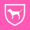 Exclusive access for PINK’s #1 fans
