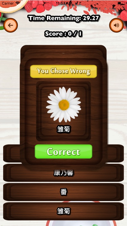 Guess Fruit Flower - Chinese screenshot-3