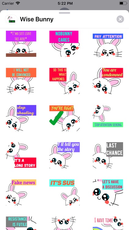 Wise Bunny