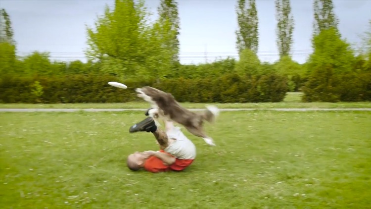 DiscDoggers Delight - Training screenshot-3