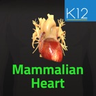 Top 19 Education Apps Like Mammalian Heart - Best Alternatives