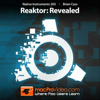 Revealed Course For Reaktor