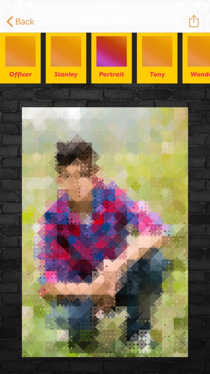 Pixelate Photo Made