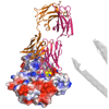 HIV Antibody Database