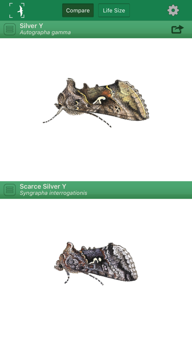 The Moths of Britain & Irelandのおすすめ画像2