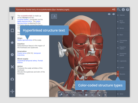 Head: 3D Real-time screenshot 4