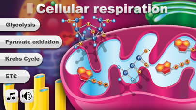 How to cancel & delete Biology Cellular Respiration P from iphone & ipad 1