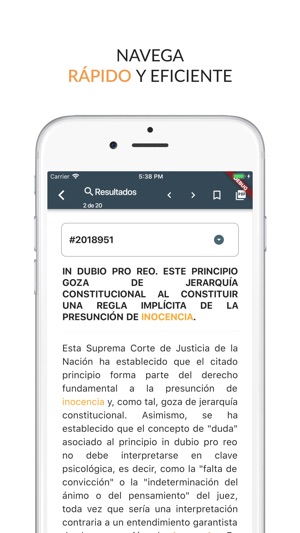 IUS - Tesis y leyes de México(圖3)-速報App