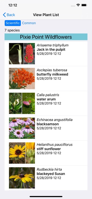 Minnesota Wildflowers(圖7)-速報App