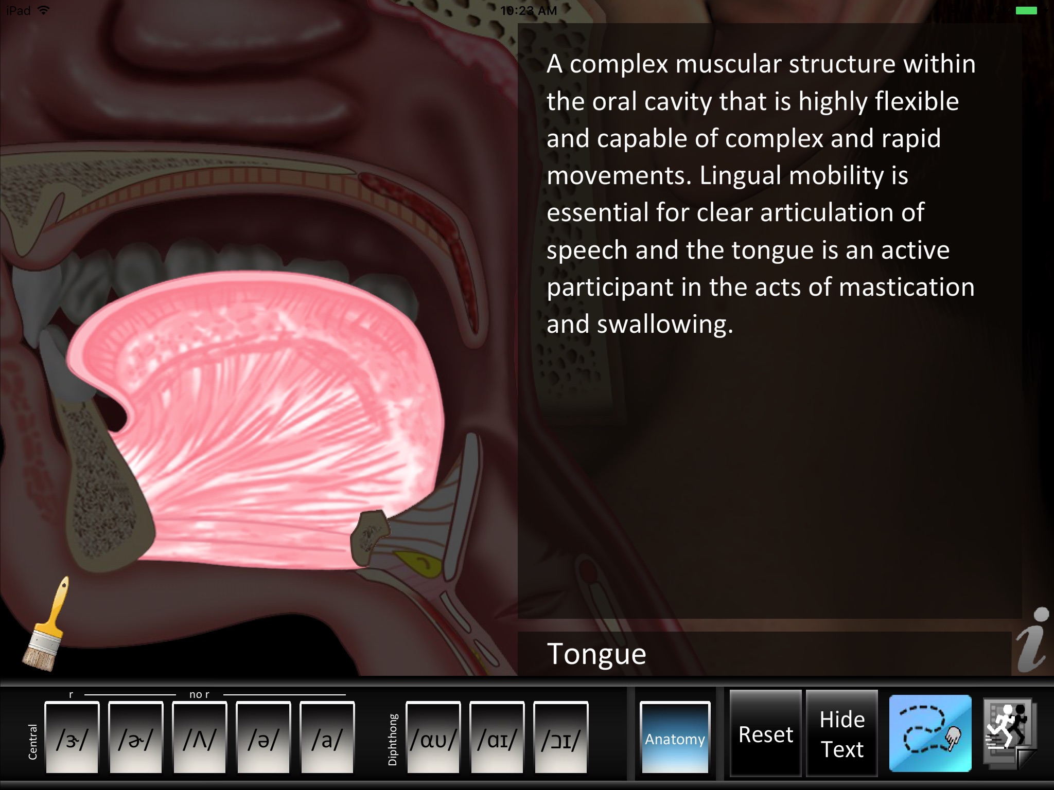 Vowels Central Diphthong screenshot 3