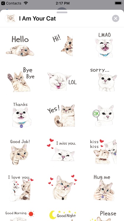 I Am Your Cat Sticker Pack