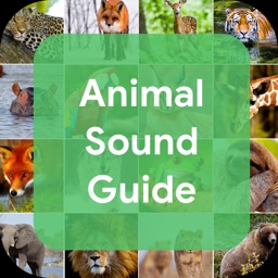 Animal Sound Guide