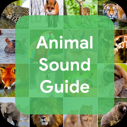 Animal Sound Guide