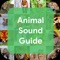 Are you curious about listen the animal and birds sounds and also not aware about some animal and birds voices then this Animal Sound Guide app will guide you