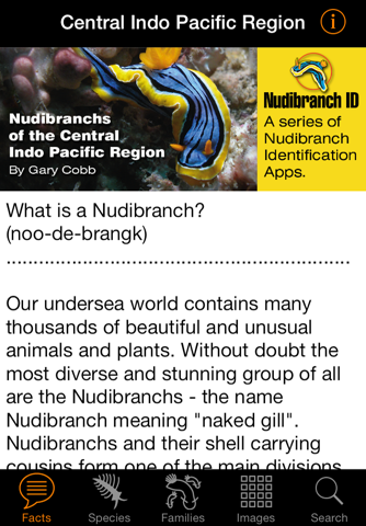 Nudibranch ID Indo Pacific - náhled