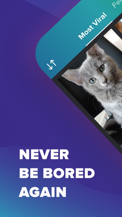 Imgur - Funny Meme & GIF Maker