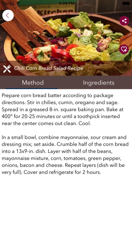 Salad Recipes For Diet screenshot-4