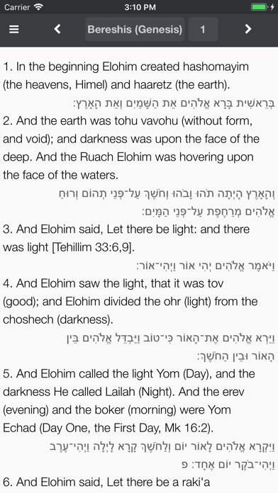Hebrew Bible Now - Tanakh screenshot 2