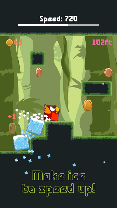 Bird Watch Game: learn to flap screenshot 2