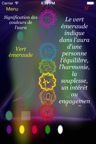 Chakra aura vision screenshot 3