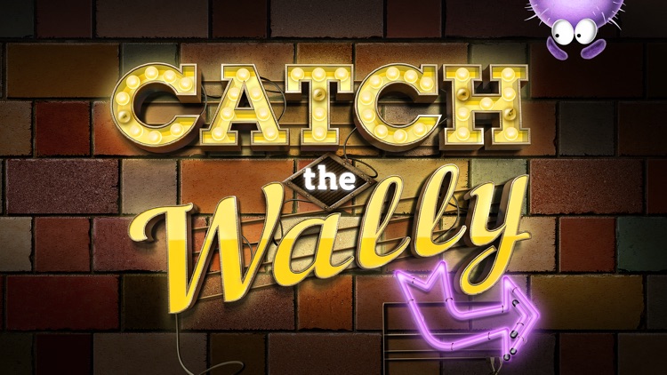 Catch the Wally - Hide & Seek screenshot-0