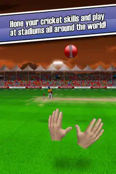 New Star Cricket - Screenshot 4