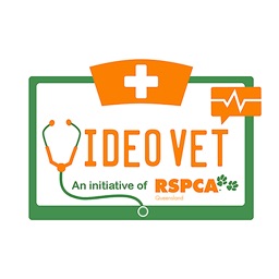 VideoVet Doctor