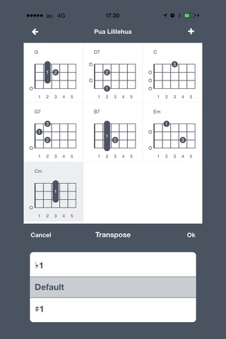 Ukulele Chord /Ukulele Palette screenshot 3