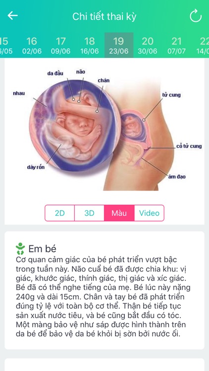 Người mẹ tốt - Bà Bầu