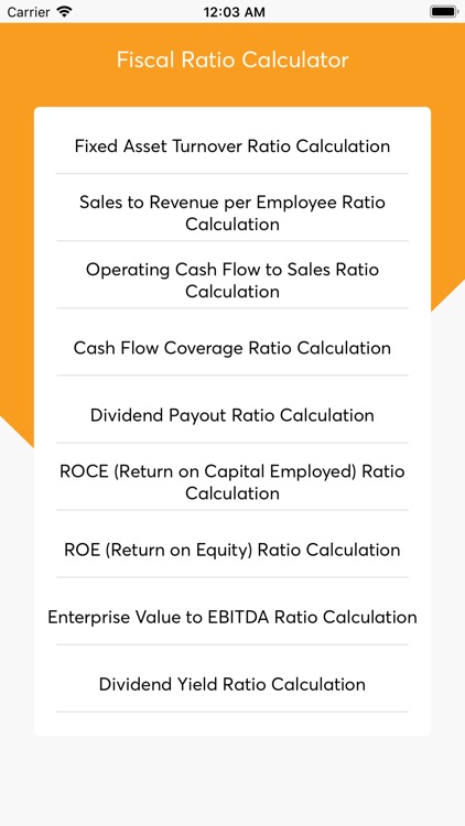 Fiscal ratio calculator