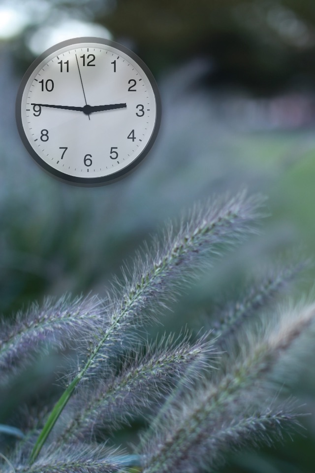 Analog Clock screenshot 3