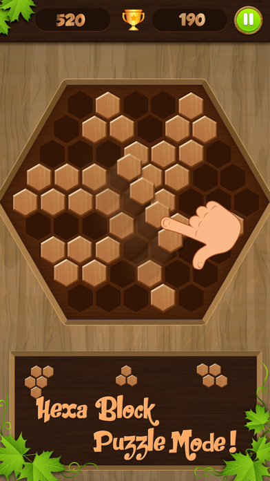 Wooden Jigsaw Block Puzzle screenshot 3