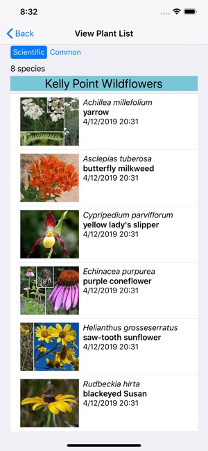 Iowa Wildflowers(圖7)-速報App