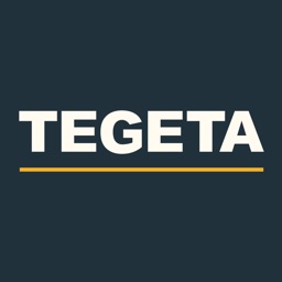 Tegeta Motors