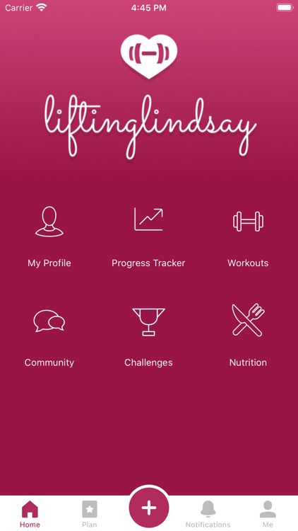 Lifting Lindsay Fitness