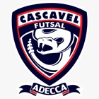 Top 12 Sports Apps Like Cascavel Futsal - Best Alternatives