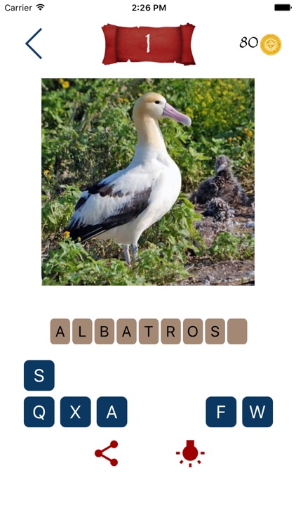 Animals Quiz | guess animals