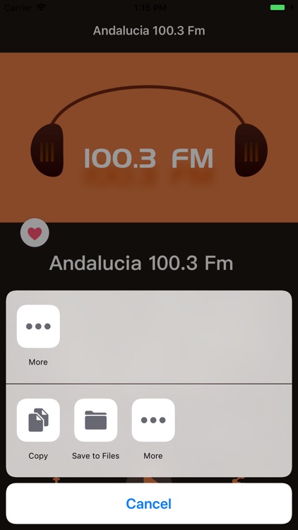 Andalucia 100.3 Fm screenshot-4