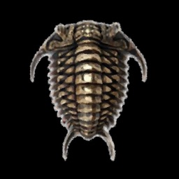 cyphercon: Hacker Conference