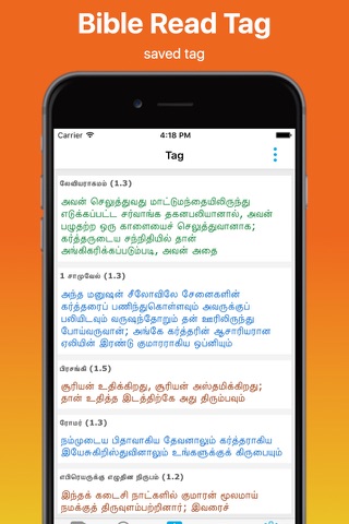 Offline Tamil Bible - náhled