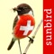 ***This is the perfect app to go bird watching in Switzerland