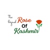 Rose of Kashmir