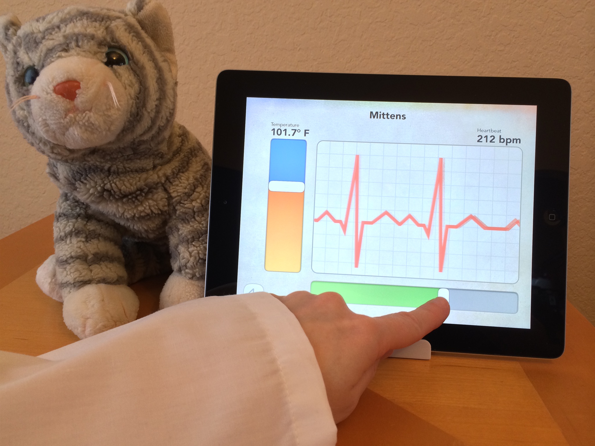 Screenshot do app Dr. PetPlay