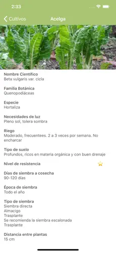 Captura 3 V de Verde iphone