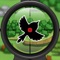 Aim and Shoot to hunt various animal targets