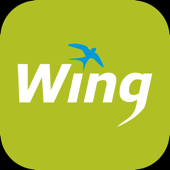 Wing Money