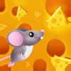 Rat and Cheese