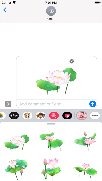 荷花转