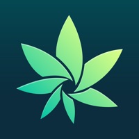  HiGrade: Cannabis Testing Alternatives